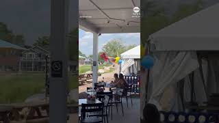 Helicopter Crash in Clay Township, Michigan – All Four Aboard Survive Miraculously  #aviationnews