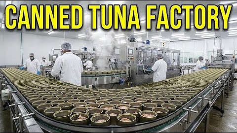 From Ocean to Your Plate: The Secret Process of Canned Tuna | Inside the Factory