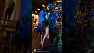 Hummingbird costume at jungle disco themed party