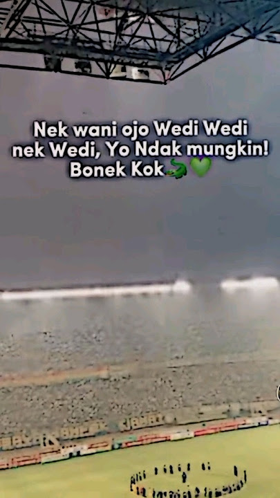 Bonek (Bondo & Nekat) kok 🐊 #persebaya #bonek #greennord #casual #supporter #fyp #viralvideo #shorts