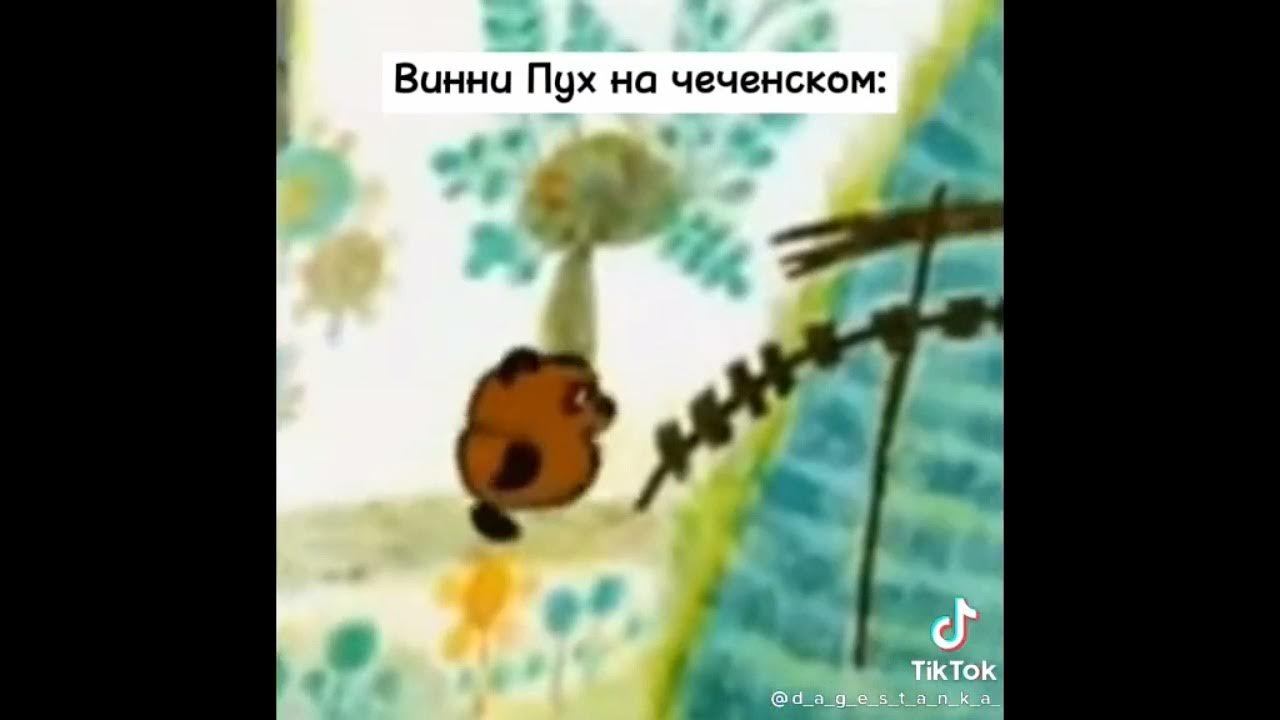 Винни пух на чеченском. Винни пух на чеченском видео.