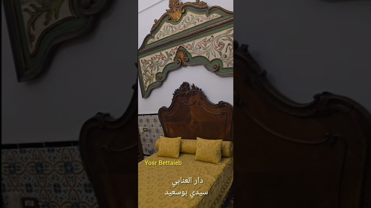 دار العنابي سيدي بوسعيد تونس