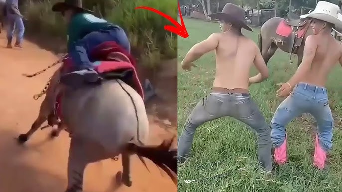 SÓ MONTARIA BRUTA 🐴 MULA, BURRO E CAVALO XUCRO 😡 