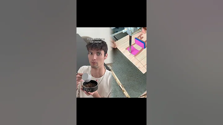 “Shouldn’t have done that” #cats #catlovers #funnycat #catlovers #catowners #funny