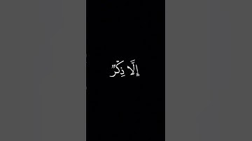 إِنَّهُ لَقَولُ رَسولٍ كَريمٍ || كروما قران كريم شاشة سوداء || محمد اللحيدان