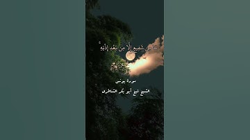 والأرض..» تلاوة خاشعة للشيخ شيخ أبو بكر الشاطري #سورة_يونس