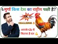 मुर्गा किस देश का राष्ट्रीय पक्षी है? 🐓 🤔 | Amzing quize | SGR Knowledge Point #gk #2026