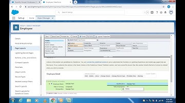 Page layouts and record types   16 03 2020