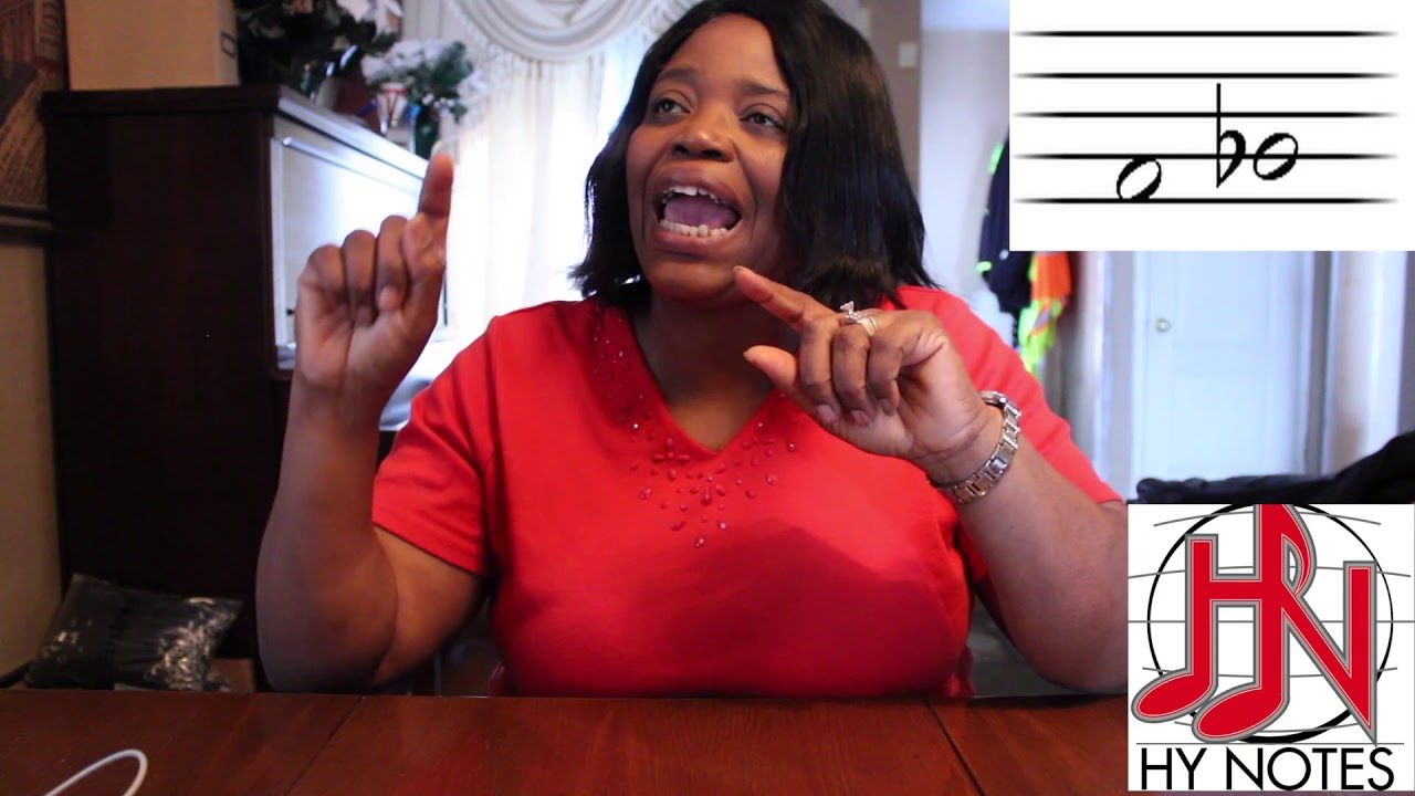 Part 2- Chromatic, Diatonic Semitones and Whole tones! Hy Notes Small ...