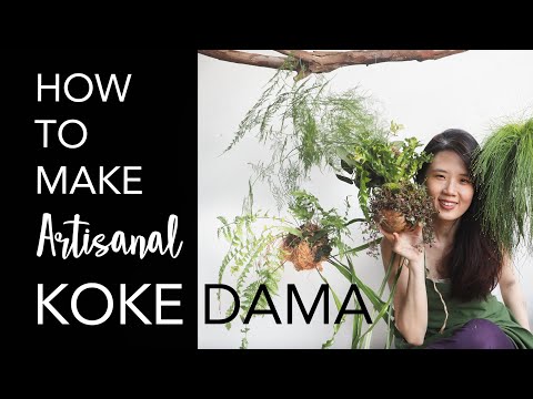 Video: Potless: Sedikit Mengenai Seni Kokedama