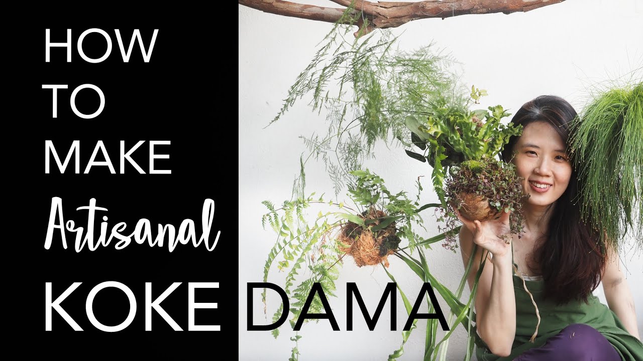 Кокедама — ПРОСТЫЕ И КРЕАТИВНЫЕ СПОСОБЫ подвешивания растений + 6 профессиональных советов по сад...