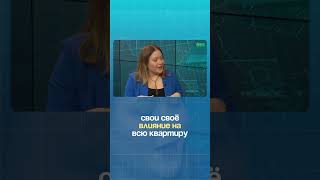 ТГ @wow_roditelstvo ИГ @lapshina_family_psy #психология #дети #psy #психологическаяподдержка #уфа