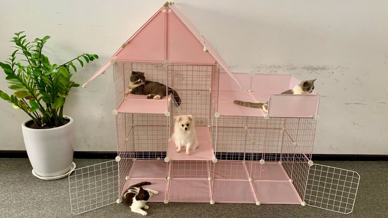 How To Make a Pomeranian Dog House Step by Step YouTube