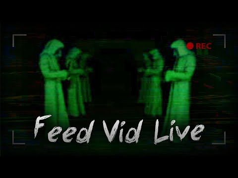 Видео: Я РЕШИЛ ПОСМОТРЕТЬ СТРИМ И ВОТ ЧТО ПРОИЗОШЛО ► FeedVid Live