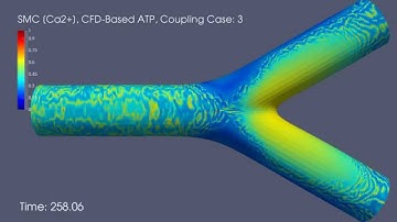 [Ca2+] Waves in Smooth Muscle Cells: CFD-Based Agonist Map, Coupling Case: 3