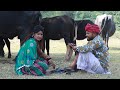 भेसिया चेराती पायल रंगीली कर बेटी प्यार Rajasthani Ful HD Video Comedy ! भवरी देवी भंवरी बाई कॉमेडी