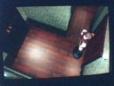 Jill Sandwich Resident Evil Directors Cut ( PS1 ) "Jibble Sandwich"