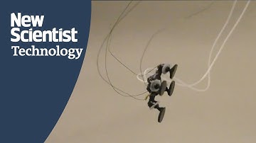 Frog-like robot uses tiny explosions to hop around