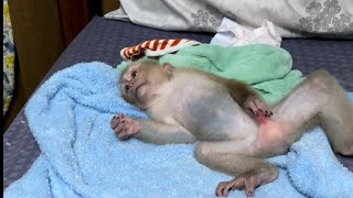 Monkey Bryyan so happy after bath 🛀