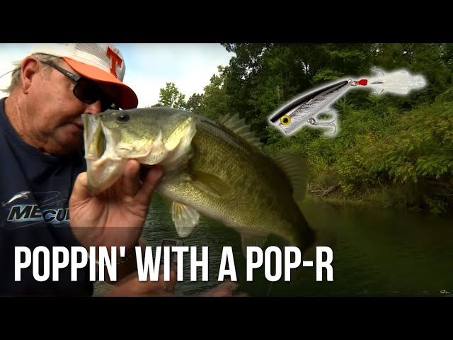 Most UNDERRATED Topwater of All Time? (The infamous Pop-R) 