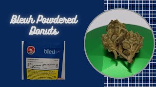 Bleuh - H24 Powdered Donuts Review
