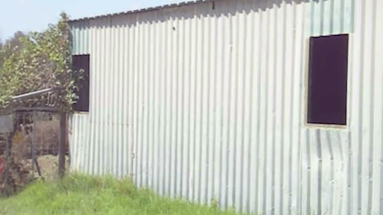 Billy Samurai - Rodeo (Visualizer)