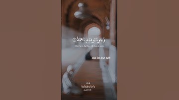 تلاوة من القران الكريم🍃 "وجوه يومئذ ناعمة🍂🦋"#راحة_نفسيه#تلاوة #راحة_وطمأنينة - القارئ عبدالرحمن مسعد