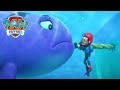 Narwhal Rescue PAW Patrol Episode Cartoons For Kids Narwhal Rescue PAW Patrol Episode Cartoons For Kids