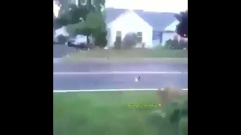 bomb explodes but its earrape