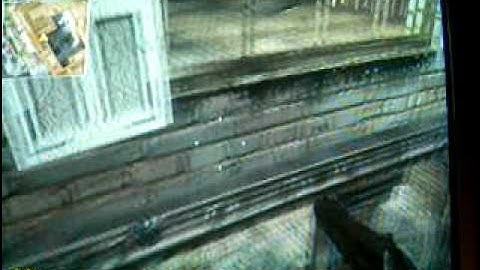 cod5 glitches asylum