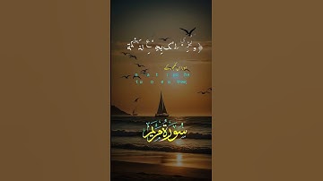 تلاوة خاشعة ومؤثرة من الذكر الحكيم نفعنا الله وإياكم بها