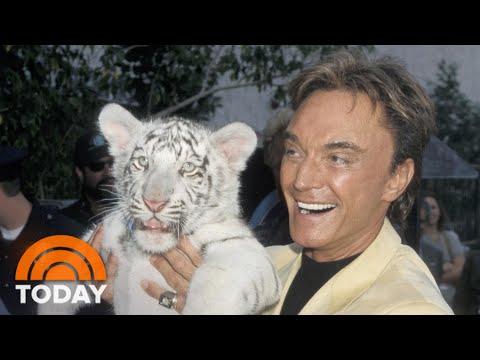 Video: Siegfried And Roy Net Worth: Wiki, Ndoa, Familia, Harusi, Mshahara, Ndugu