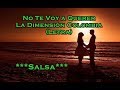 No Te Voy a Querer - La Dimensión Colombia - (Letra)