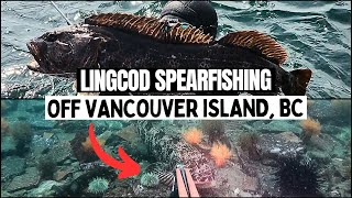 Best Birthday Ever!? Spearfishing Epic Vancouver island!