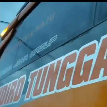 Story WA bus stj 30 detik