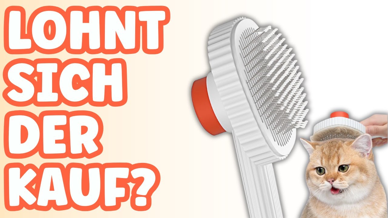 ACE2ACE Katzenbürste  im Test [KURZ & KOMPAKT]