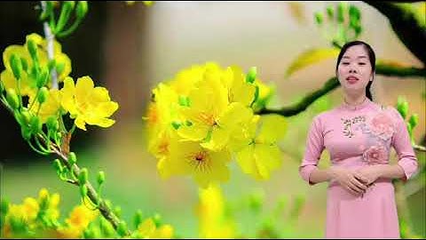 Giới thiệu bài. Bài 14: Tết và lễ hội năm mới (TNXH 1)- Bộ cùng học để phát triển năng lực.