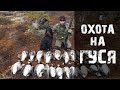 Охота на гуся Весна.манки.Охота 2020.RCC.CallOfHunt.