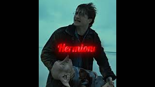 Dobby Was A Good Friend