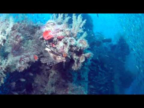 Tauchsafari 2012 Web Teil 1