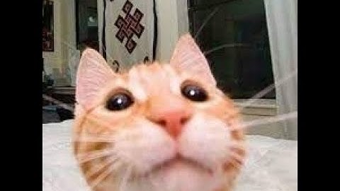 Suns Crashes Trash Aternos BoxPVP | Anti P2W