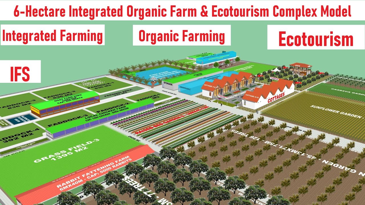 Интегрированный органический фермерский экотуристический комплекс площадью 6 гектаров 