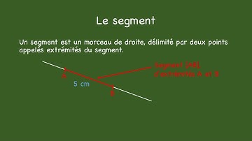 Le segment