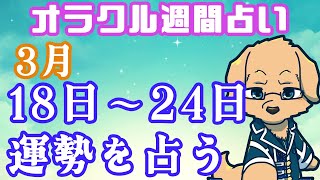 【週間占い】18日～24日の運勢を占います！/ オラクルカード40回【ケモノVtuber/星戌セン/ #オラクルカード #占い】