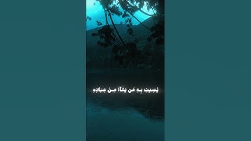 سورة يونس الاية ﴿ ١٠٧ ﴾ | القارئ: عبدالرحمن مسعد