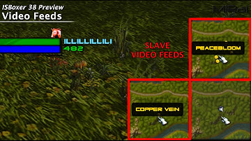 ISBoxer 38 -- Video & Cursor Feeds