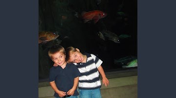 passionate interlude