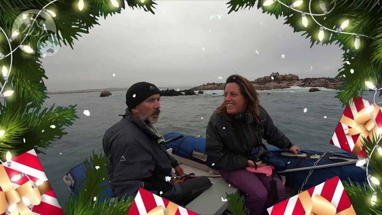 🦁⛵️🎄🥰Joyeux Noël nos Bananas Lovers⛵️🎄🦁🥰