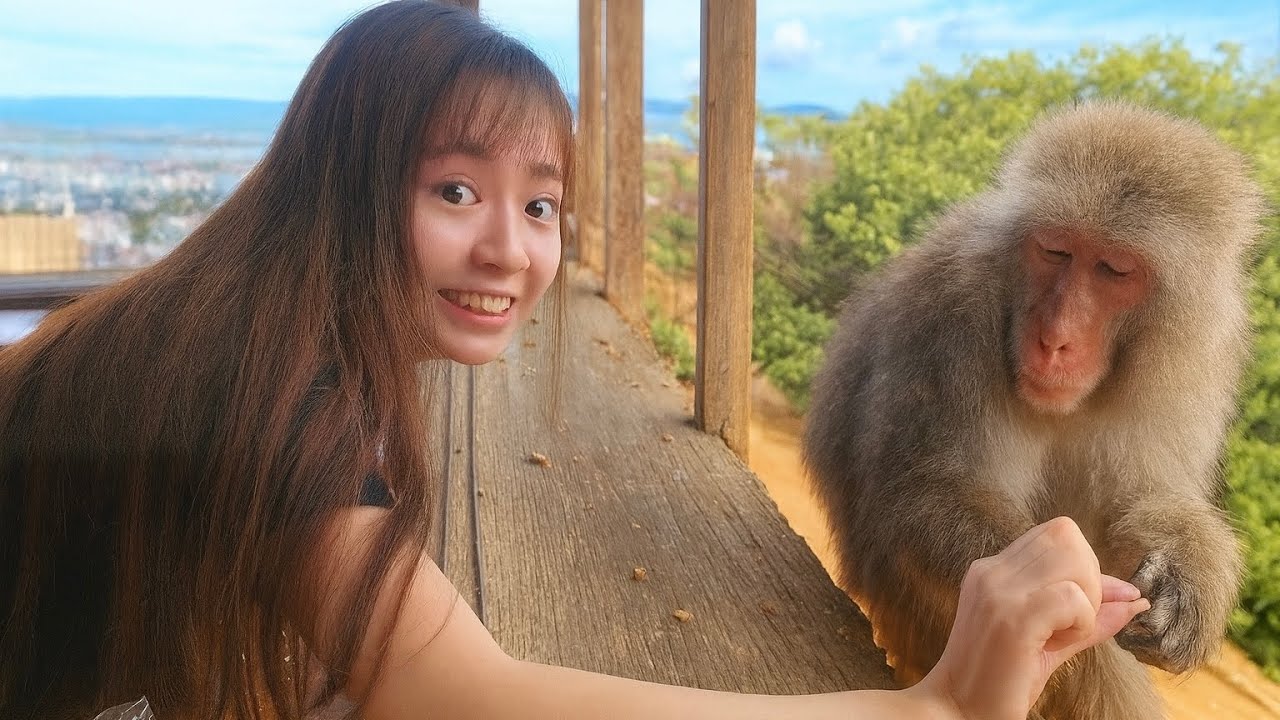 【衝撃！】野生の猿120頭に囲まれる！？🐒京都嵐山のハイキングスポット！『嵐山モンキーパーク』