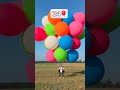 كم بالون هيليوم يحتاج الإنسان كي يطير